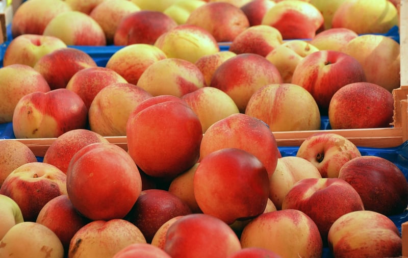 Healthy and Delicious Food